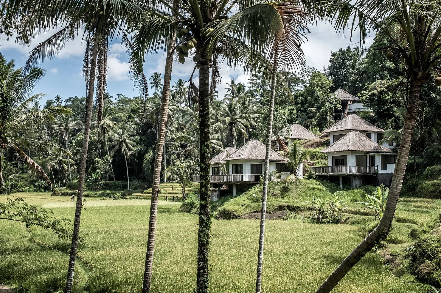Buying Property in Bali: The Complete 2026 Guide
