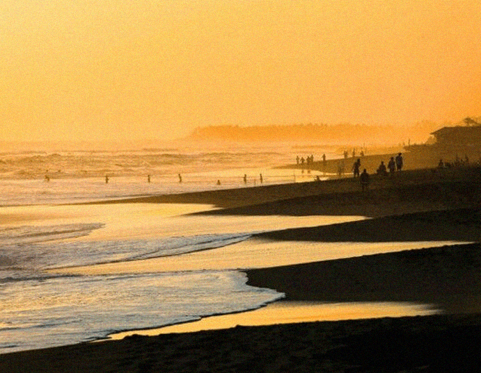 Why We Chose Canggu for Amari Villas Development