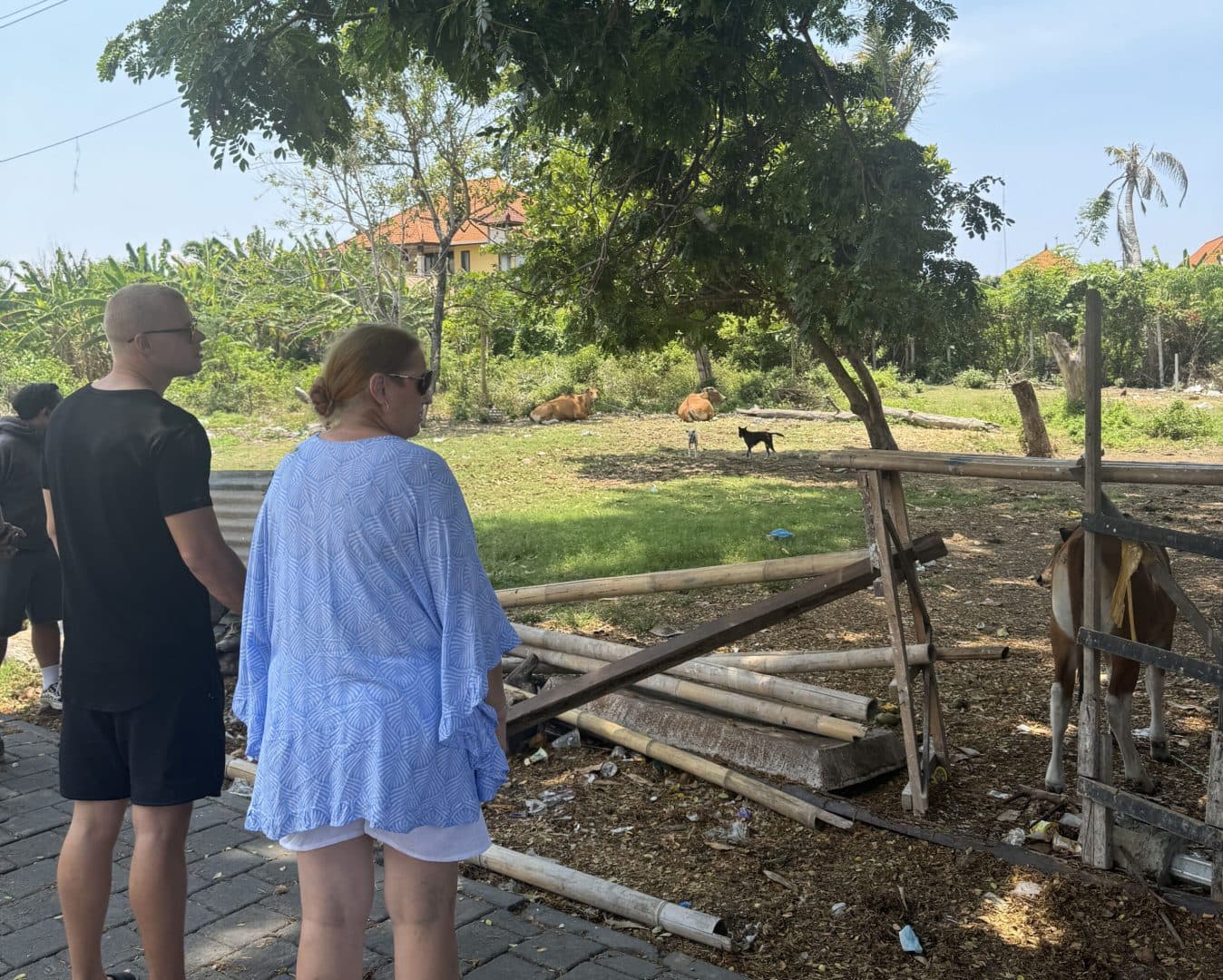 Building a New Life in Bali: A Case Study of Diana’s Villa Project