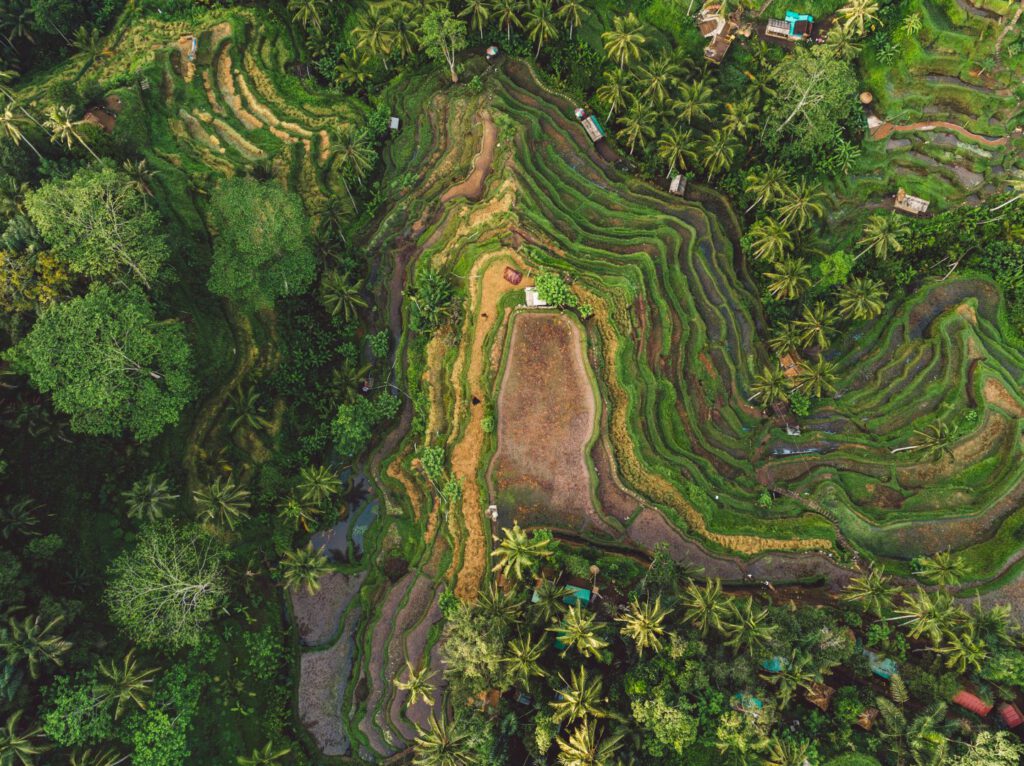 Best Area To Invest in Bali